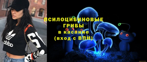 стафф Алексин