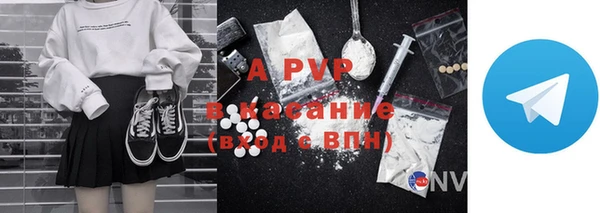 стафф Алексин