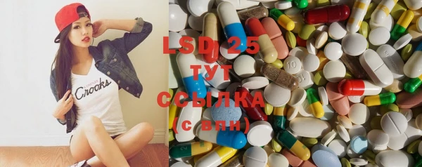 стафф Алексин