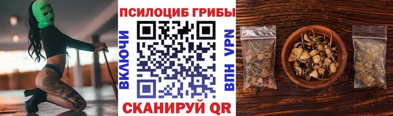 Псилоцибиновые грибы MAGIC MUSHROOMS  mega ССЫЛКА  Алексин 