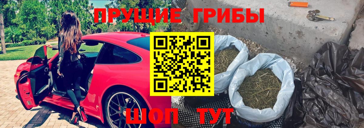 Псилоцибиновые грибы ЛСД  Вход с VPN  Алексин  Псилоцибиновые грибы MAGIC MUSHROOMS 
